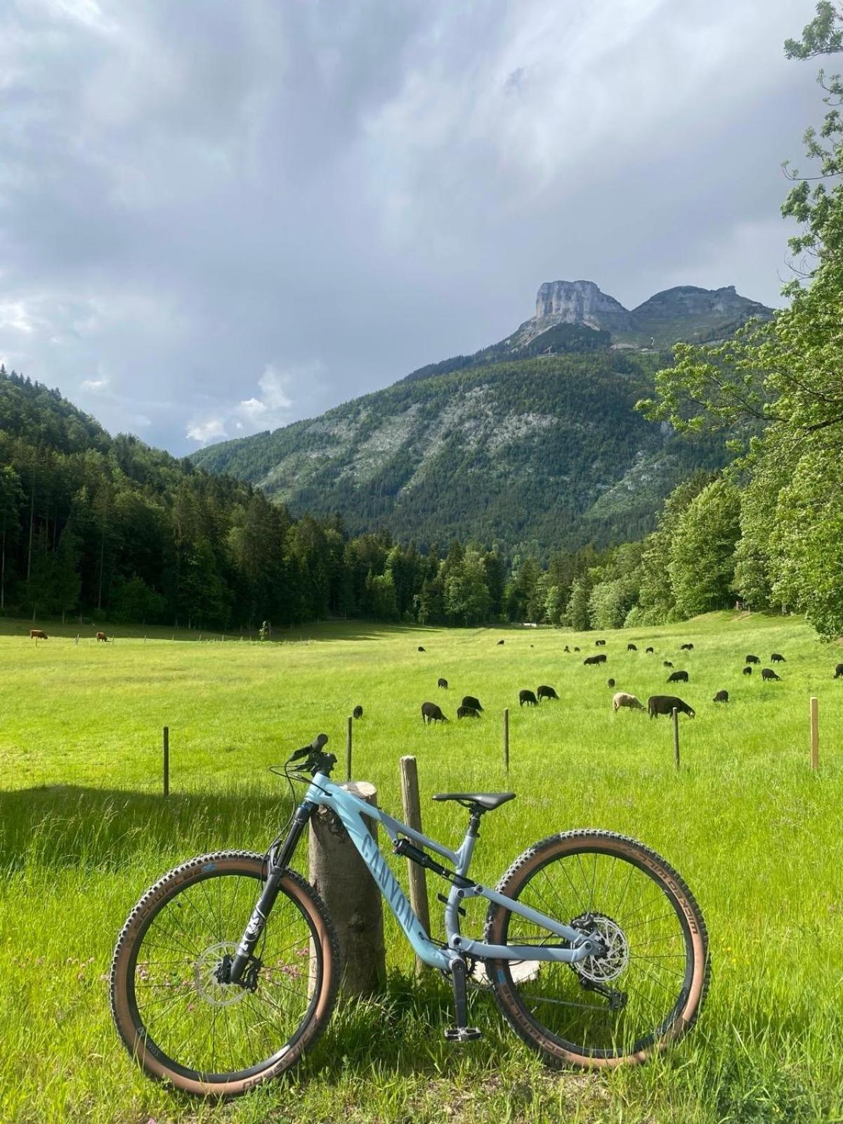 Ausseerland Apartments - Relax, Ski, Hike And Bike, Garden, Parking, Bbq, Near Hallstatt, Loser, Tauplitz And Krippenstein, Free Wi-Fi And Netflix Bad Aussee Zewnętrze zdjęcie