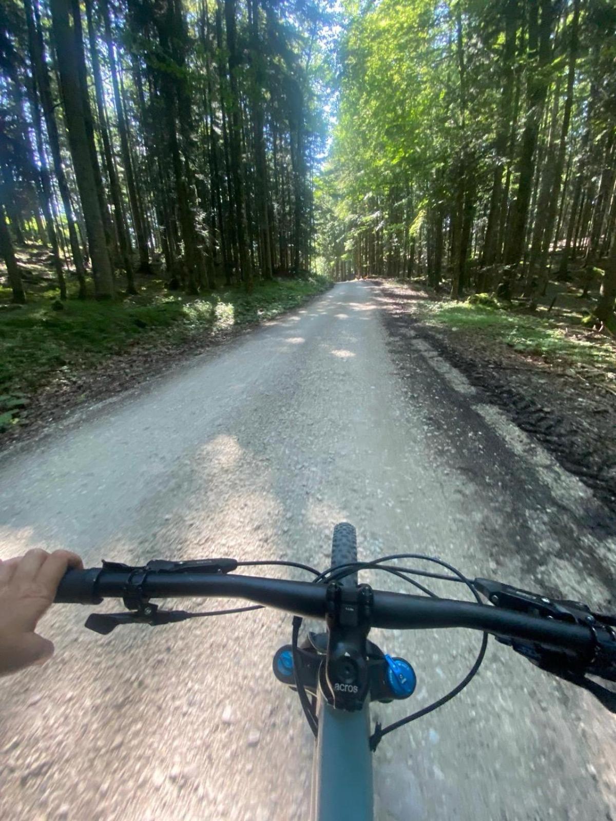 Ausseerland Apartments - Relax, Ski, Hike And Bike, Garden, Parking, Bbq, Near Hallstatt, Loser, Tauplitz And Krippenstein, Free Wi-Fi And Netflix Bad Aussee Zewnętrze zdjęcie